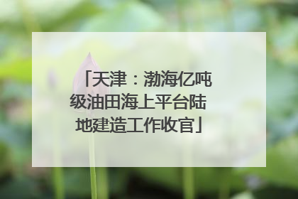 天津：渤海亿吨级油田海上平台陆地建造工作收官